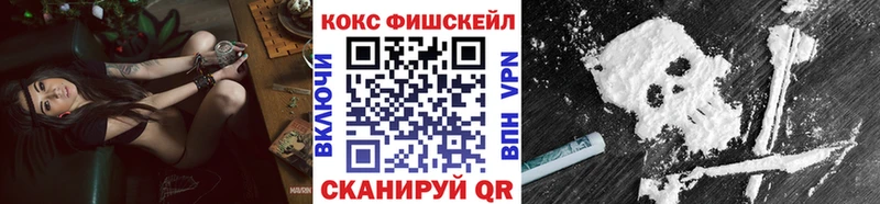 COCAIN Эквадор Великие Луки