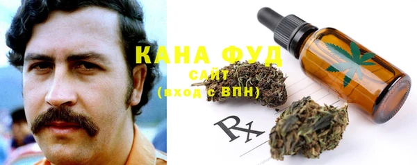 индика Богданович