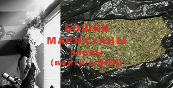 индика Богданович