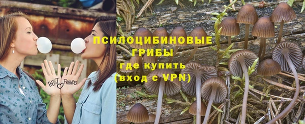 индика Богданович
