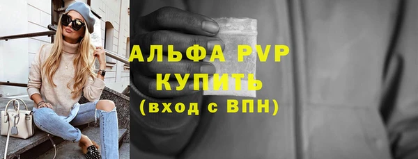 индика Богданович