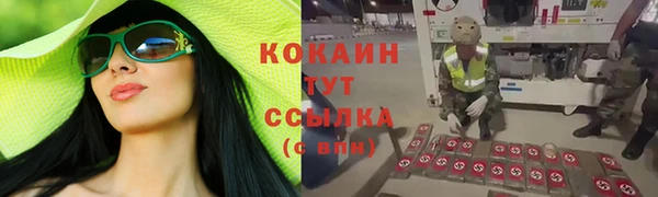 индика Богданович