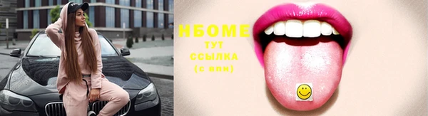 МДПВ Богородск