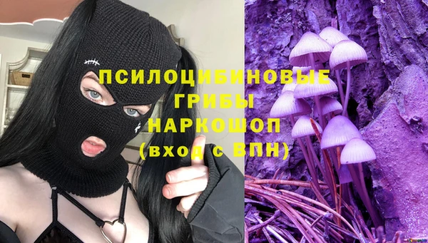 прущие грибы Балахна