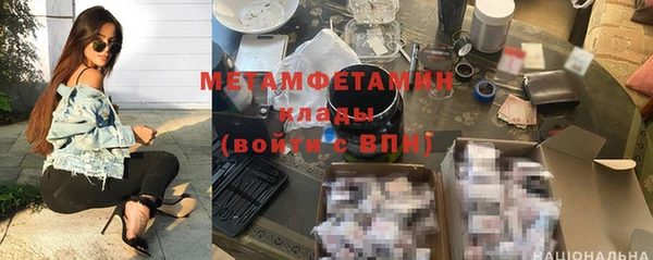 индика Богданович