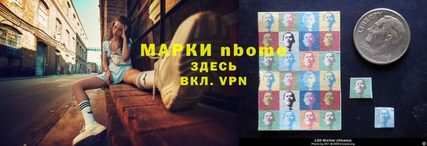 индика Богданович