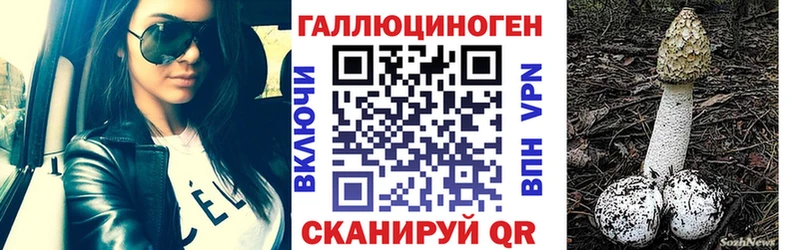 купить наркотики сайты  Великие Луки  Псилоцибиновые грибы мицелий 