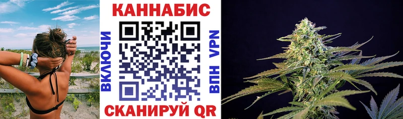 мориарти какой сайт  Великие Луки  Каннабис сатива 